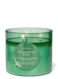 Eucalyptus Rain Scented Candle 411g